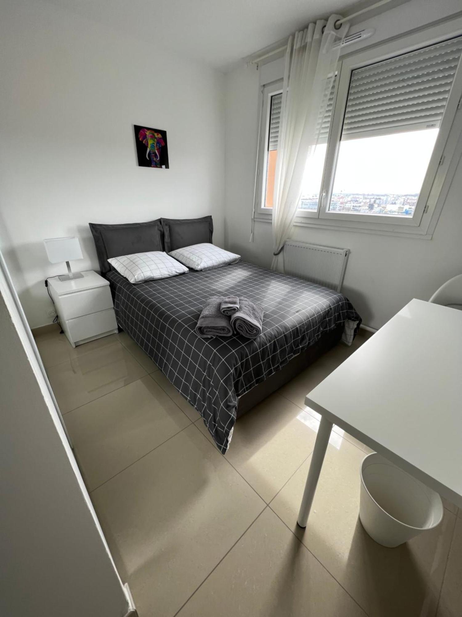 Appartamento Super 4 Pieces Refait A Neuf Villeurbanne Esterno foto