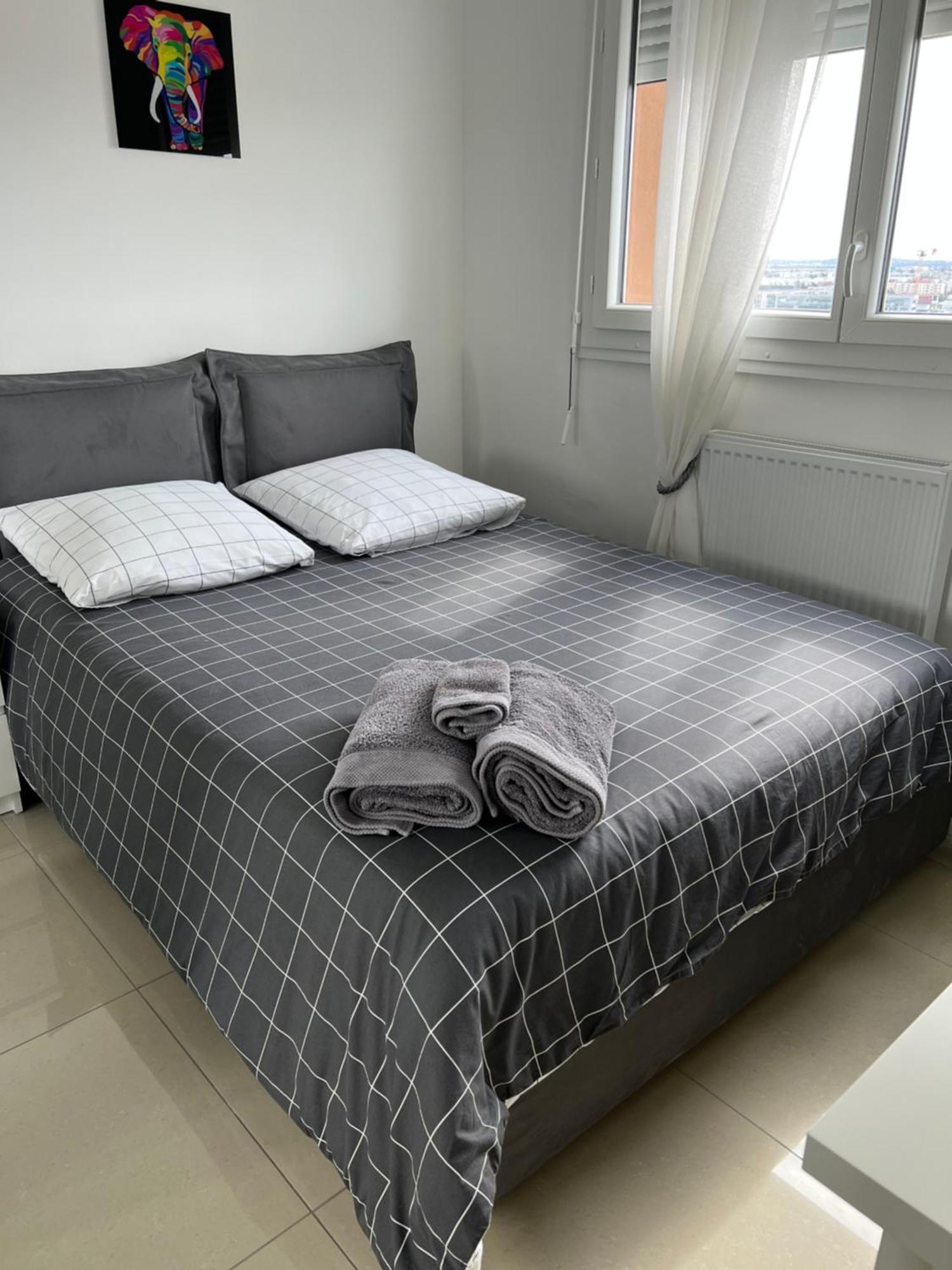 Appartamento Super 4 Pieces Refait A Neuf Villeurbanne Esterno foto